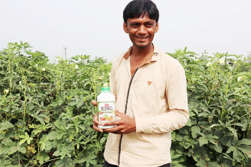 Agriculture - Dungari, Gujarat, India